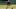 Miami Marlins Miami Marlins