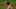 Miami Marlins Miami Marlins