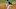 Miami Marlins Miami Marlins