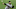 Miami Marlins Miami Marlins