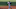 Miami Marlins Miami Marlins