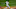 Miami Marlins Miami Marlins