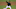 Miami Marlins Miami Marlins