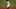 Miami Marlins