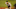 Miami Marlins: Looking back at the 2009 Florida Marlins Miami Marlins: Looking back at the 2009 Florida Marlins