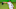 Miami Marlins Miami Marlins