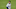 Detroit Tigers