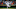 Detroit Tigers Detroit Tigers
