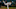 OAKLAND, CALIFORNIA – SEPTEMBER 06: Spencer Turnbull #56 of the Detroit Tigers pitches against the Oakland Athletics at Ring Central Coliseum on September 06, 2019 in Oakland, California. (Photo by Lachlan Cunningham/Getty Images) OAKLAND, CALIFORNIA – SEPTEMBER 06: Spencer Turnbull #56 of the Detroit Tigers pitches against the Oakland Athletics at Ring Central Coliseum on September 06, 2019 in Oakland, California. (Photo by Lachlan Cunningham/Getty Images)