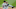 Rookies Progress Report Rookies Progress Report