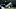 Detroit Tigers Detroit Tigers