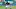 LAKELAND, FL – FEBRUARY 28: Willi Castro #49 (Photo by Mark Cunningham/MLB Photos via Getty Images) LAKELAND, FL – FEBRUARY 28: Willi Castro #49 (Photo by Mark Cunningham/MLB Photos via Getty Images)
