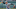 Detroit Tigers