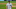 Detroit Tigers