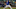 Texas Rangers Texas Rangers