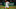 Texas Rangers Texas Rangers