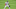 BALTIMORE, MD – SEPTEMBER 05: Elvis Andrus #1 of the Texas Rangers in position during a baseball game against the Baltimore Orioles at Oriole Park at Camden Yards on September 5, 2019 in Baltimore, Maryland. (Photo by Mitchell Layton/Getty Images) BALTIMORE, MD – SEPTEMBER 05: Elvis Andrus #1 of the Texas Rangers in position during a baseball game against the Baltimore Orioles at Oriole Park at Camden Yards on September 5, 2019 in Baltimore, Maryland. (Photo by Mitchell Layton/Getty Images)