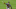 Jace Jung Texas Rangers Jace Jung Texas Rangers
