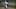 Texas Rangers Texas Rangers