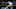 ST. PETERSBURG, FL – JULY 21: Yu Darvish (Photo by Brian Blanco/Getty Images) ST. PETERSBURG, FL – JULY 21: Yu Darvish (Photo by Brian Blanco/Getty Images)