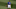 Texas Rangers Texas Rangers