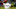 Texas Rangers Texas Rangers