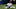Texas Rangers Texas Rangers