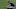 Texas Rangers Texas Rangers