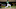 Texas Rangers Marte Texas Rangers Marte