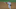 Texas Rangers Isiah Kiner-Falefa Texas Rangers Isiah Kiner-Falefa