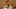 Texas Rangers President Jon Daniels Texas Rangers President Jon Daniels