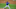 Texas Rangers Texas Rangers
