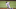 Could Texas Rangers trade for Story? Could Texas Rangers trade for Story?