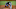 Rays will visit Texas Rangers in 2021 Rays will visit Texas Rangers in 2021