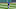 Leody Taveras Texas Rangers