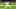 Texas Rangers Jameson Taillon Texas Rangers Jameson Taillon