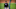 Texas Rangers Rougned Odor Texas Rangers Rougned Odor