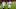 Texas Rangers Texas Rangers