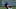Leody Taveras Texas Rangers Leody Taveras Texas Rangers