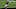 NFL NFL