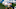 PITTSBURGH, PA – NOVEMBER 27: Rashawn Scott PITTSBURGH, PA – NOVEMBER 27: Rashawn Scott