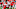 COLUMBUS, OH – OCTOBER 1: Robert Martin COLUMBUS, OH – OCTOBER 1: Robert Martin