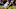 STARKVILLE, MS – NOVEMBER 11: Keith Mixon STARKVILLE, MS – NOVEMBER 11: Keith Mixon