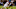 STARKVILLE, MS – NOVEMBER 11: Keith Mixon STARKVILLE, MS – NOVEMBER 11: Keith Mixon
