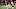 Miami Dolphins Miami Dolphins
