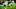 Miami Dolphins Miami Dolphins