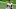 Terry McLaurin Washington Football Team (Photo by Nic Antaya/Getty Images) Terry McLaurin Washington Football Team (Photo by Nic Antaya/Getty Images)