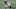Calvin Ridley Atlanta Falcons (Photo by Kevin C. Cox/Getty Images) Calvin Ridley Atlanta Falcons (Photo by Kevin C. Cox/Getty Images)