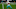 Miami Dolphins Miami Dolphins