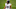 Miami Dolphins Miami Dolphins